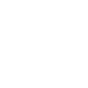 Branding Icon